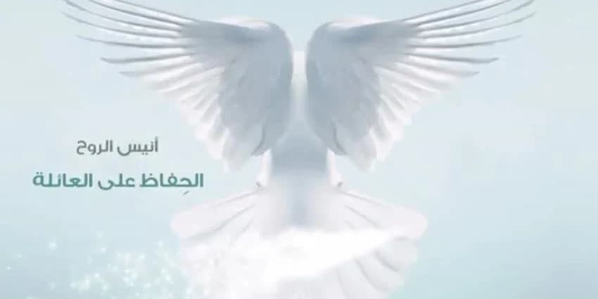 غلاف الفيديو