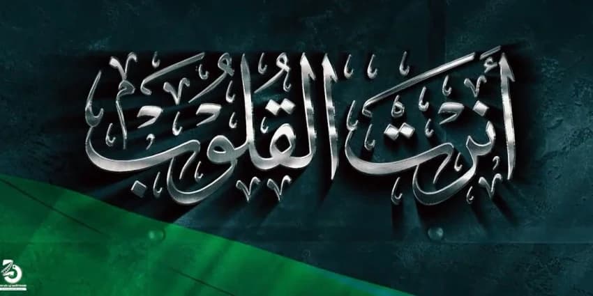 غلاف الفيديو