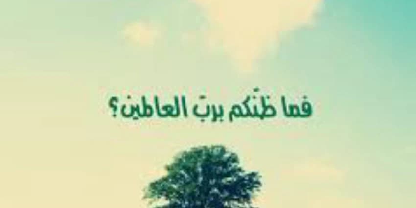 غلاف الفيديو