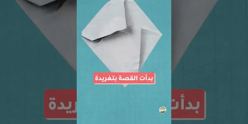 غلاف الفيديو