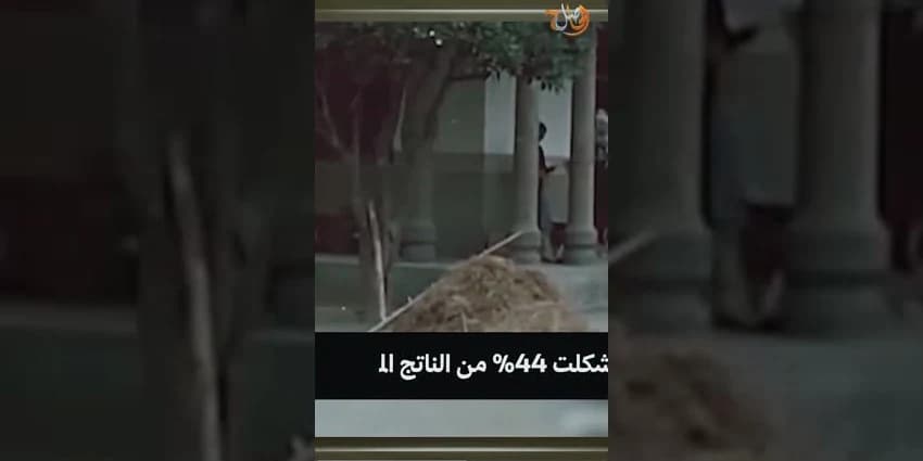 غلاف الفيديو