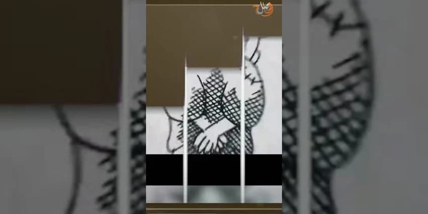 غلاف الفيديو