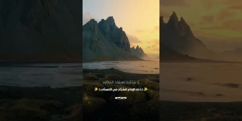 غلاف الفيديو