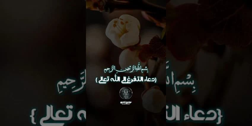 غلاف الفيديو