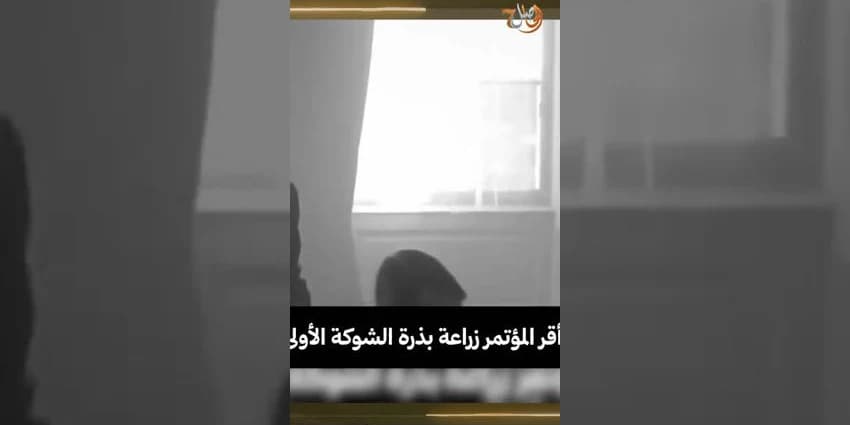غلاف الفيديو