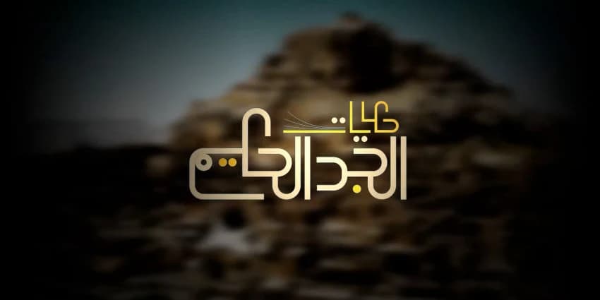 غلاف الفيديو