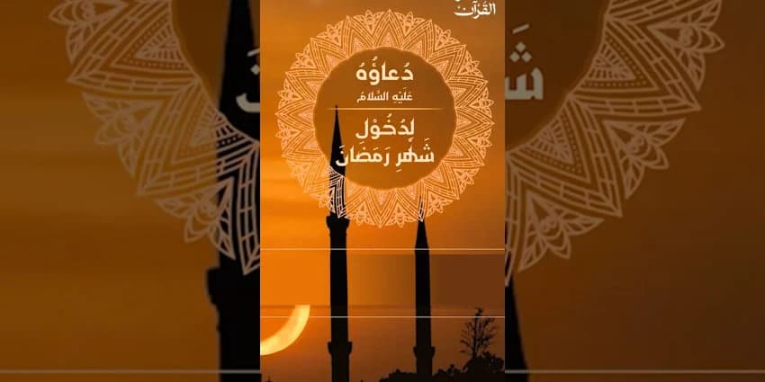 غلاف الفيديو