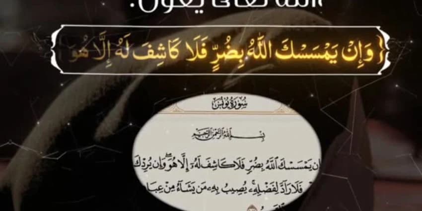 غلاف الفيديو