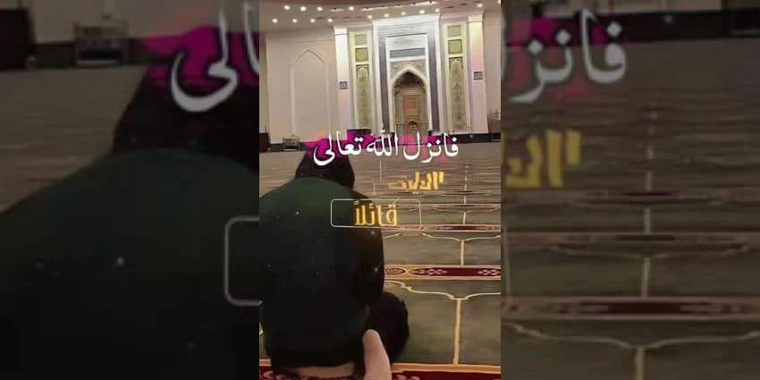 غلاف الفيديو