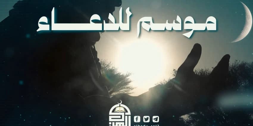 غلاف الفيديو