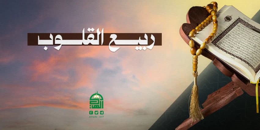 غلاف الفيديو