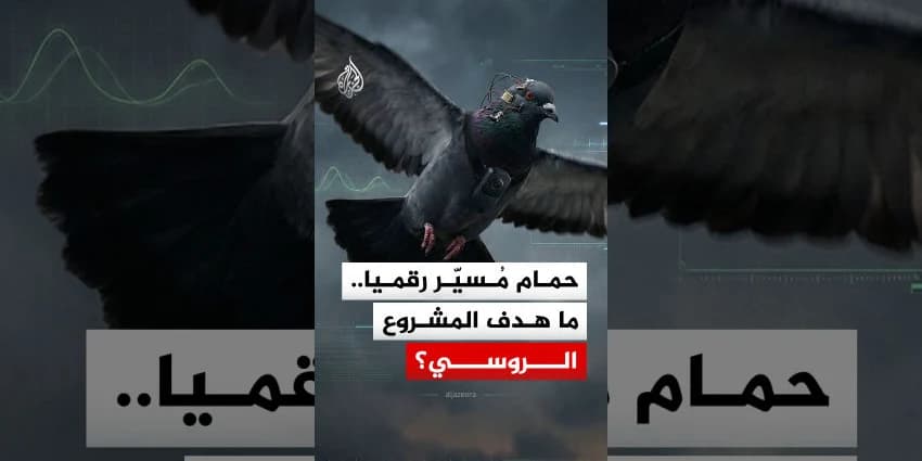 غلاف الفيديو