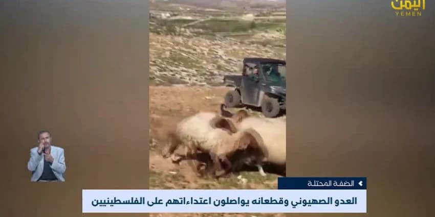 غلاف الفيديو