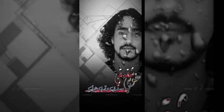 غلاف الفيديو