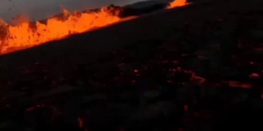 غلاف الفيديو