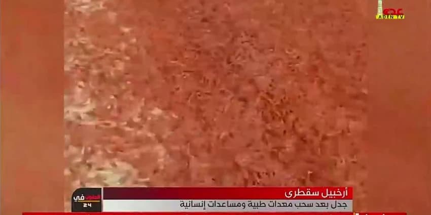 غلاف الفيديو