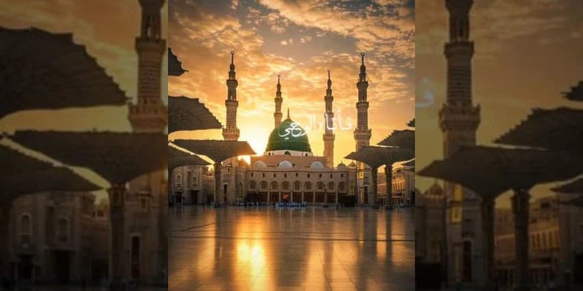 غلاف الفيديو