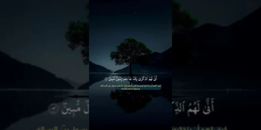 غلاف الفيديو