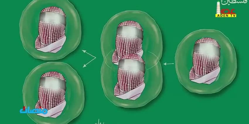 غلاف الفيديو