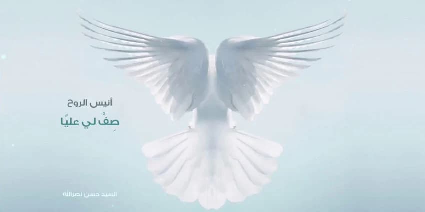 غلاف الفيديو
