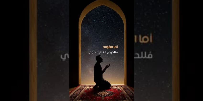 غلاف الفيديو