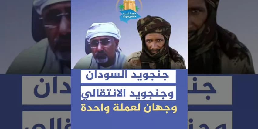 غلاف الفيديو