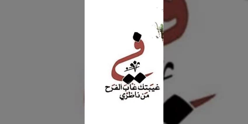 غلاف الفيديو