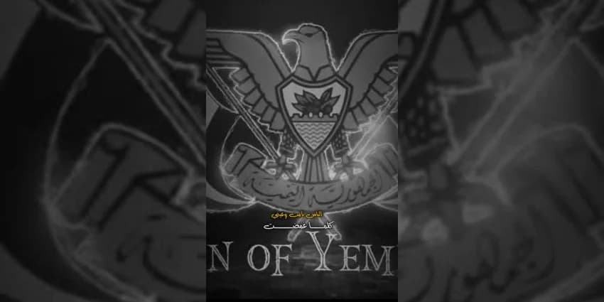 غلاف الفيديو