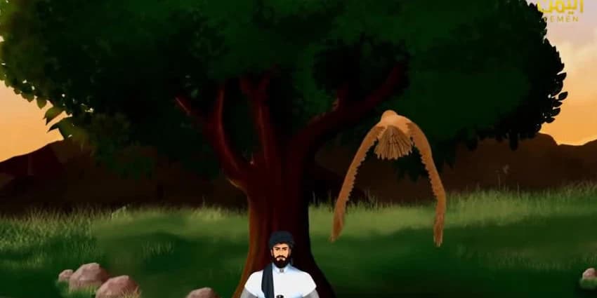 غلاف الفيديو