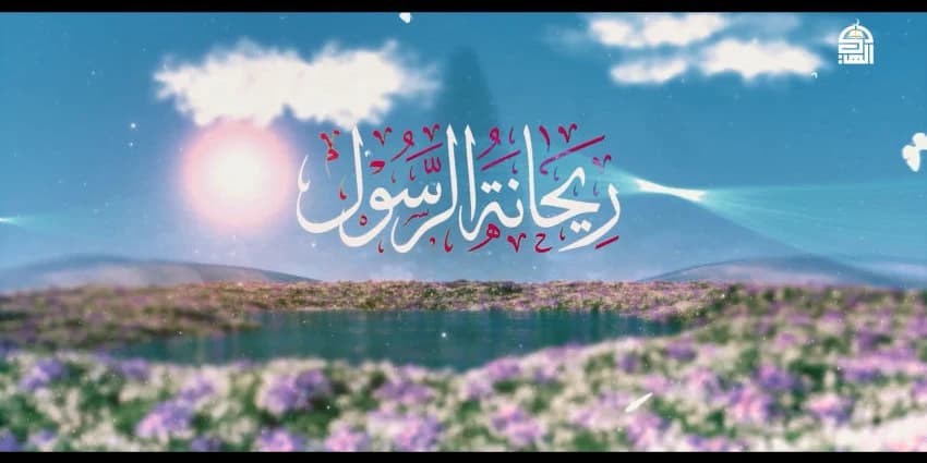 غلاف الفيديو